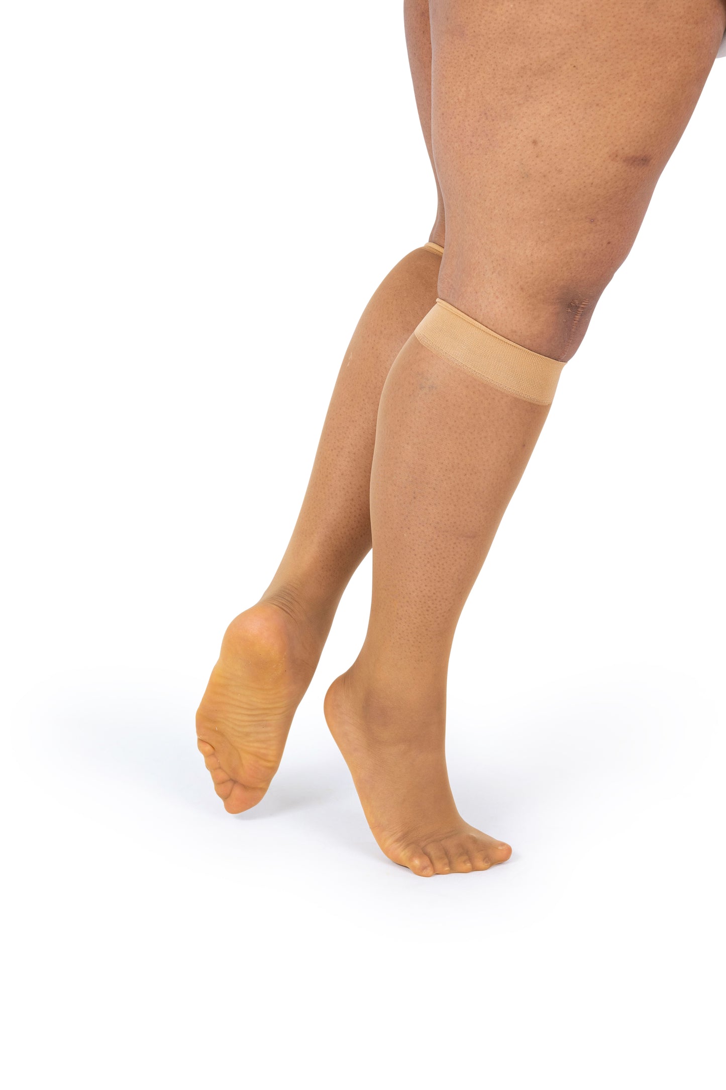 Women's Plus Size Sheer Knee High Socks- 6 Pairs