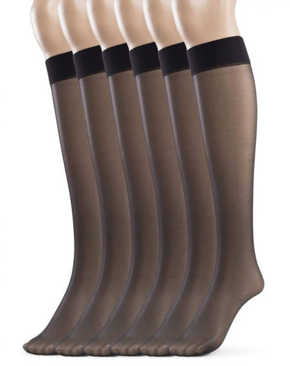 Women's Sheer Knee High Socks- 6 Pairs