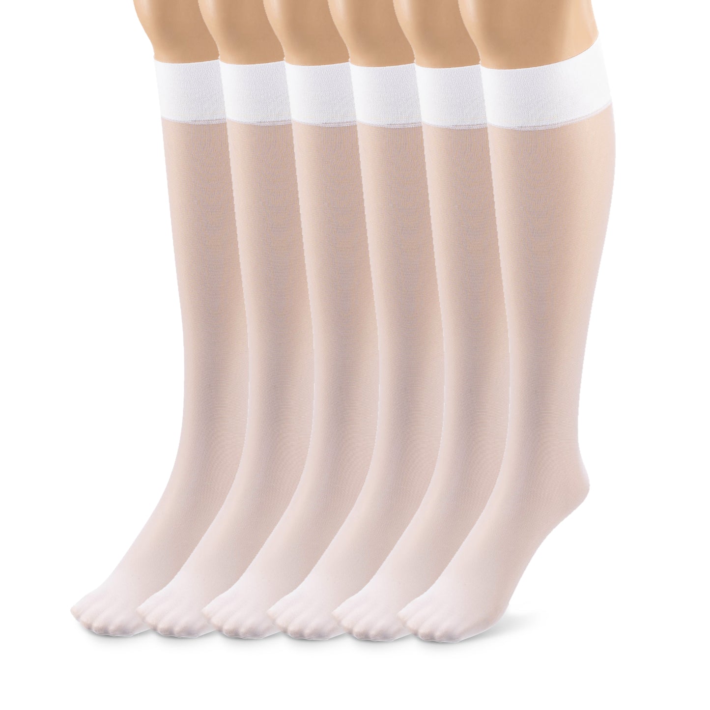 Women's Plus Size Sheer Knee High Socks- 6 Pairs