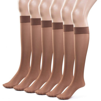 Women's Sheer Knee High Socks- 6 Pairs